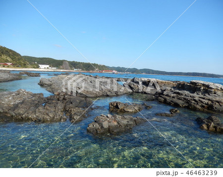 串本海中公園の海 46463239