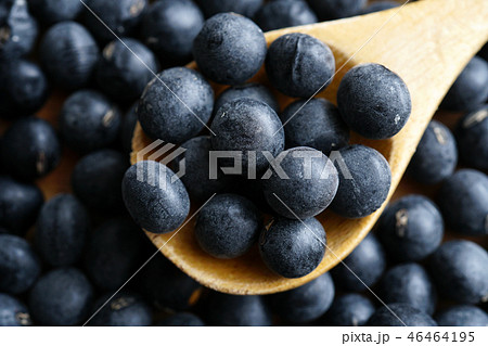 丹波の黒大豆 46464195