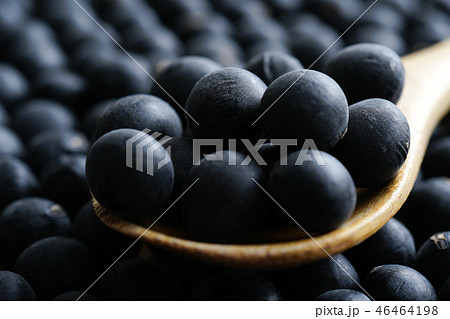 丹波の黒大豆 丹波の黒大豆 46464198