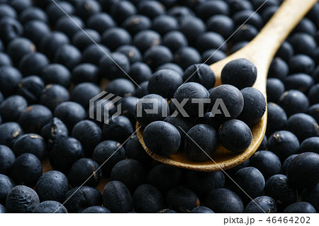 丹波の黒大豆 46464202