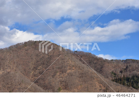 安曇野の松枯れした山 安曇野の松枯れした山 46464271
