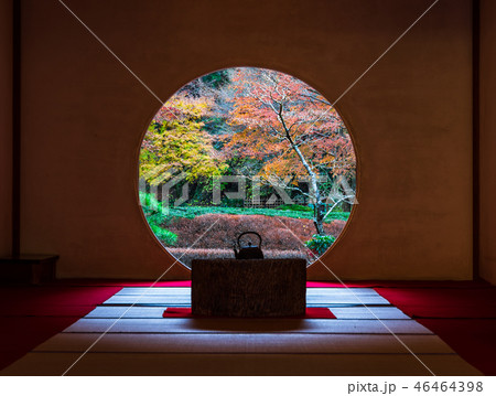 鎌倉　明月院　悟りの窓 46464398