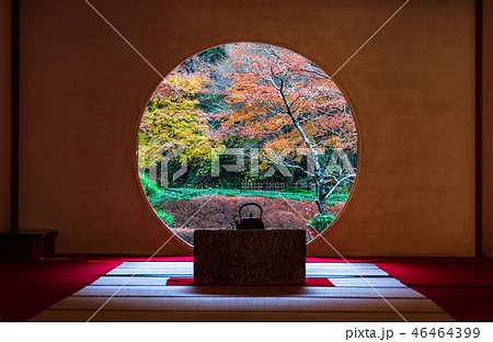 鎌倉　明月院　悟りの窓 46464399