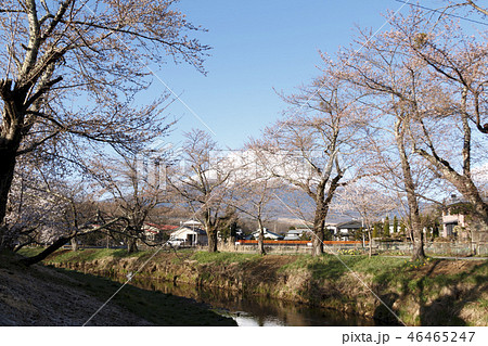 忍野八海 46465247