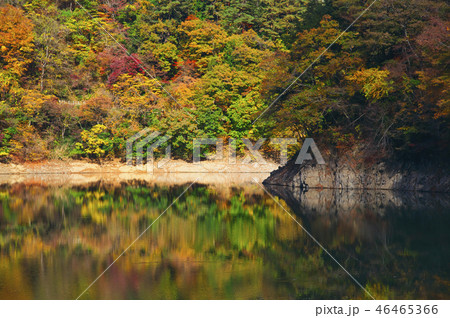 山のふるさと村からの奥多摩湖 山のふるさと村からの奥多摩湖 46465366