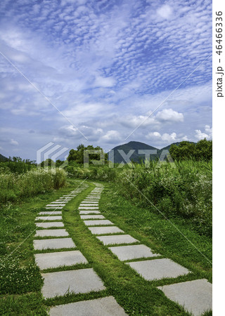 道 道路 フル 46466336