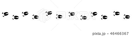 Pig Tracks Black Footprints 46466367