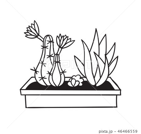 Cactus for coloring books. Vector illustration. Cactus for coloring books. Vector illustration. 46466559