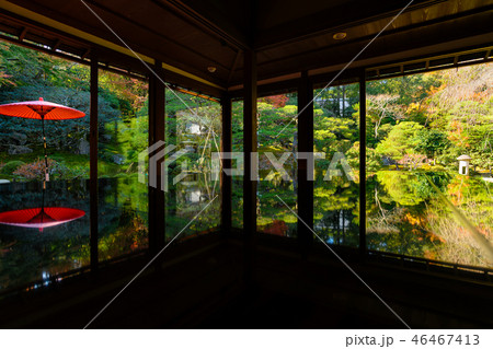 旧竹林院(大津市 坂本)日本庭園の紅葉 旧竹林院(大津市 坂本)日本庭園の紅葉 46467413