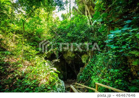Cueva Ventana natural cave in Puerto Rico Cueva Ventana natural cave in Puerto Rico 46467646