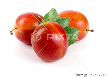 red plums with leaves isolated on white background red plums with leaves isolated on white background 46467743