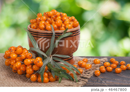 Sea-buckthorn berries in a wooden bowl on table with blurred garden background Sea-buckthorn berries in a wooden bowl on table with blurred garden background 46467800