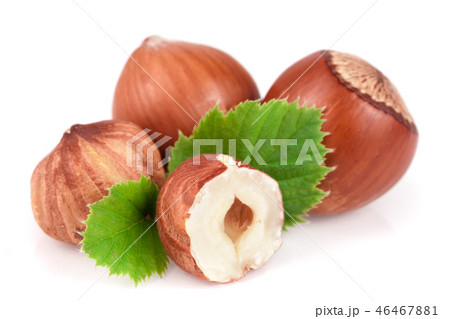 Hazelnuts with leaves isolated on white background Hazelnuts with leaves isolated on white background 46467881