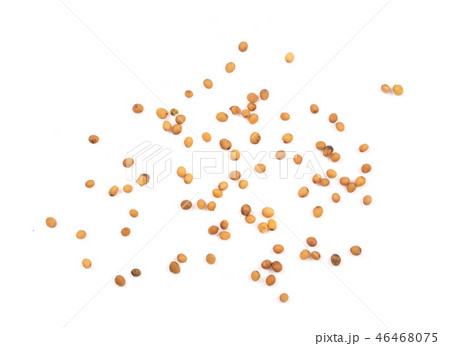 Yellow mustard seeds isolated on white background, top view Yellow mustard seeds isolated on white background, top view 46468075