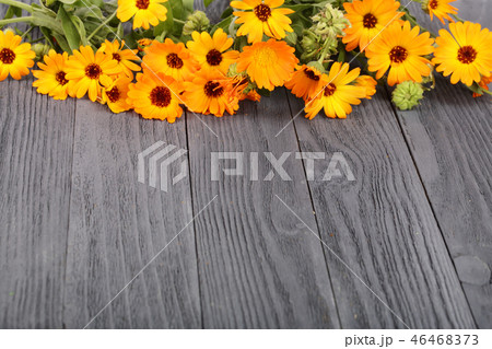 Calendula officinalis. Marigold flower with leaf on black wooden background with copy space for your 46468373