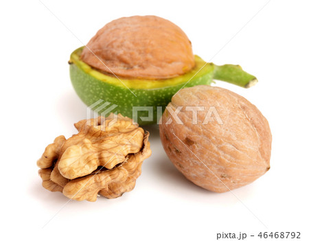 fresh walnuts in peel isolated on white background fresh walnuts in peel isolated on white background 46468792
