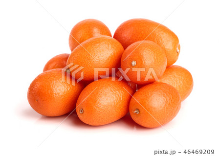 Cumquat or kumquat isolated on white background close up Cumquat or kumquat isolated on white background close up 46469209