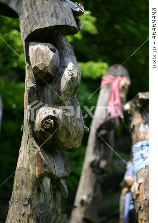 チャンスン 46469498