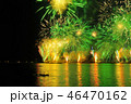 夏の千波湖 46470162
