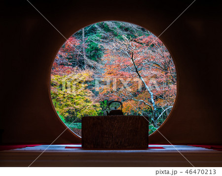 鎌倉　明月院　悟りの窓 46470213