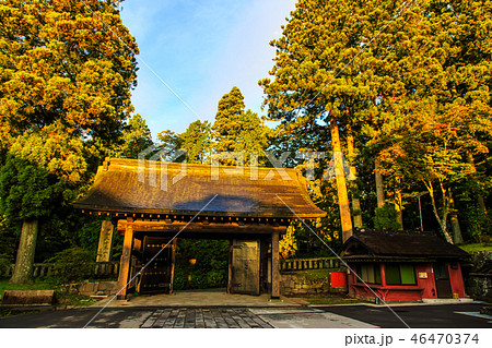新緑の日光輪王寺黒門 朝風景 世界遺産 【栃木県日光市】 新緑の日光輪王寺黒門 朝風景 世界遺産 【栃木県日光市】 46470374