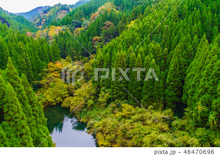 小国町むろばるはしからの秋景色 【熊本県阿蘇郡小国町】 小国町むろばるはしからの秋景色 【熊本県阿蘇郡小国町】 46470696