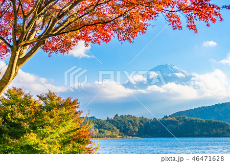 Beautiful landscape of mountain fuji with maple leaf tree around lake Beautiful landscape of mountain fuji with maple leaf tree around lake 46471628