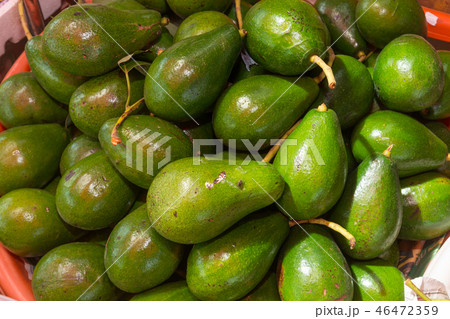 Pile of Avocado Pile of Avocado 46472359
