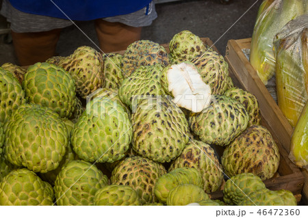 Pile or Stack or Custard Apple, Sugar-apple Pile or Stack or Custard Apple, Sugar-apple 46472360