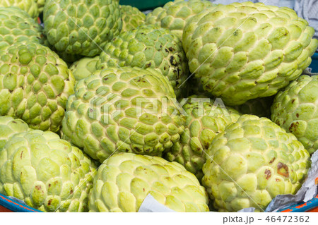Pile Custard Apple, Sugar-apple, natural Pile Custard Apple, Sugar-apple, natural 46472362