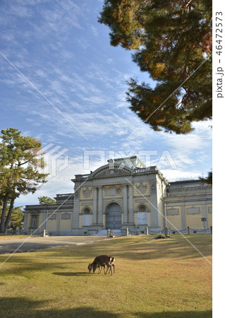 奈良公園　奈良国立博物館 46472573