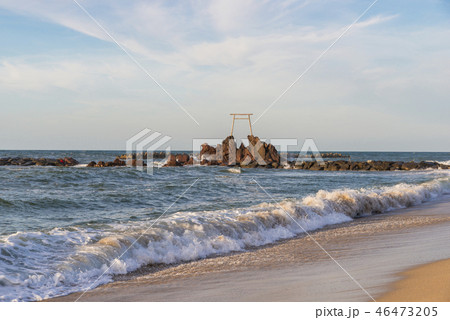 ハワイ海水浴場（鳥取県） 46473205