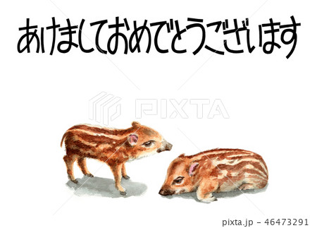 ウリ坊の賀詞入り年賀ハガキ素材 46473291
