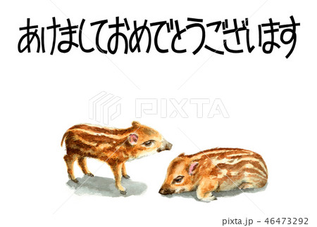 ウリ坊の賀詞入り年賀ハガキ素材 46473292