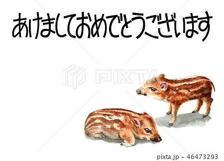 ウリ坊の賀詞入り年賀ハガキ素材 46473293