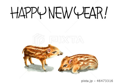 ウリ坊の賀詞入り年賀ハガキ素材 46473316