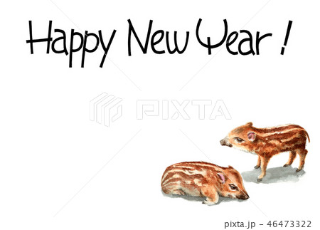 ウリ坊の賀詞入り年賀ハガキ素材 46473322