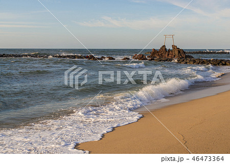 ハワイ海水浴場（鳥取県） 46473364