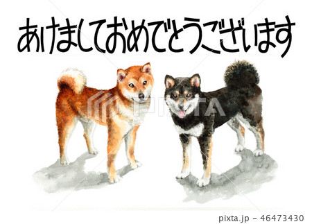 柴犬の賀詞入り年賀ハガキ素材 46473430