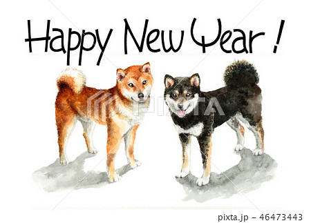 柴犬の賀詞入り年賀ハガキ素材 46473443