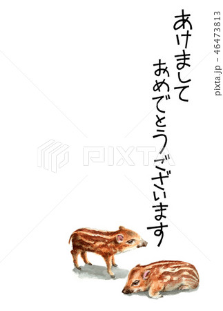 ウリ坊の賀詞入り年賀ハガキ素材 46473813
