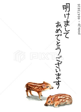 ウリ坊の賀詞入り年賀ハガキ素材 46473816