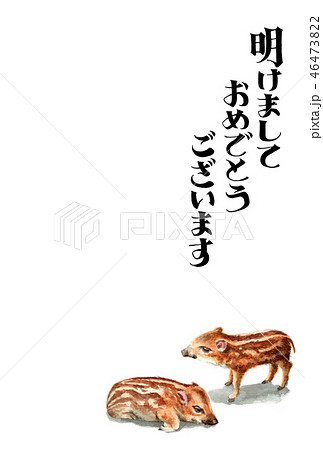 ウリ坊の賀詞入り年賀ハガキ素材 ウリ坊の賀詞入り年賀ハガキ素材 46473822
