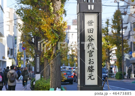 世田谷通り　世田谷代官お膝元 46473885