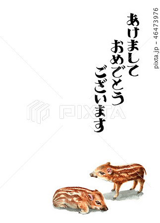 ウリ坊の賀詞入り年賀ハガキ素材 46473976