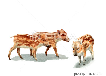 ウリ坊の年賀ハガキ素材 46473980