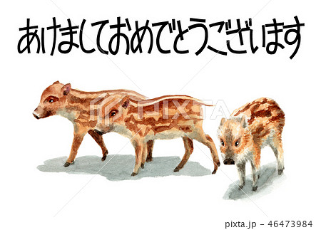 ウリ坊の賀詞入り年賀ハガキ素材 46473984