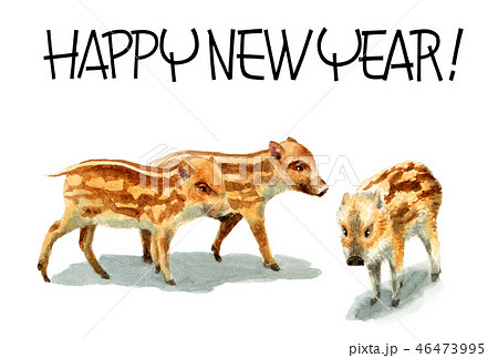 ウリ坊の賀詞入り年賀ハガキ素材 46473995