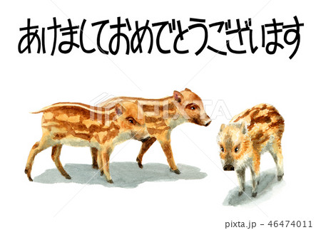 ウリ坊の賀詞入り年賀ハガキ素材 46474011