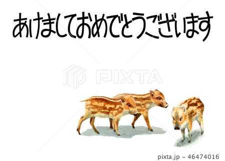 ウリ坊の賀詞入り年賀ハガキ素材 46474016